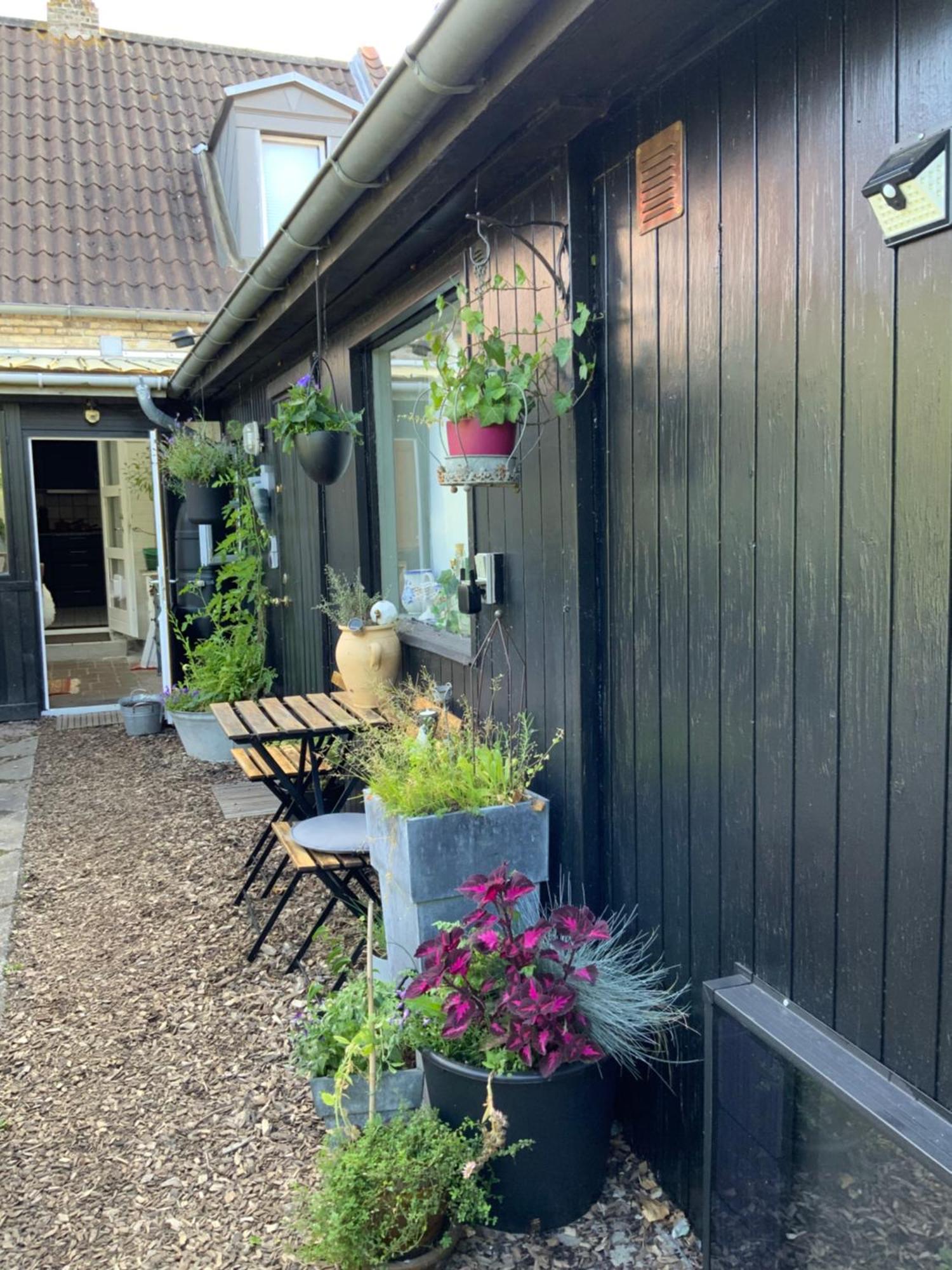 Spiced Séjour chez l'habitant Nykøbing Falster